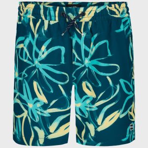 Boys Sundays Layback Trunks